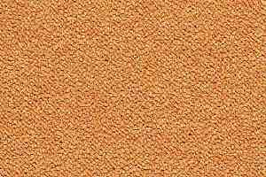 Ковровая плитка Tessera Chroma 3623 Tangerine фото  | FLOORDEALER